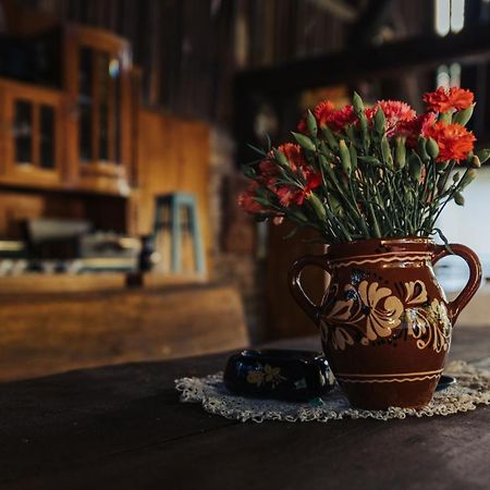 Dumalux Garden Daire Subotica Dış mekan fotoğraf