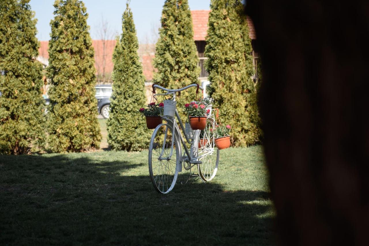 Dumalux Garden Daire Subotica Dış mekan fotoğraf