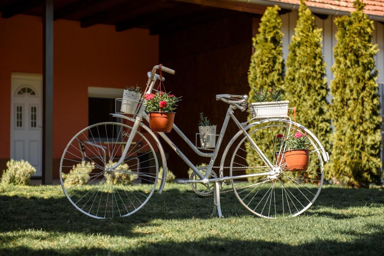 Dumalux Garden Daire Subotica Dış mekan fotoğraf