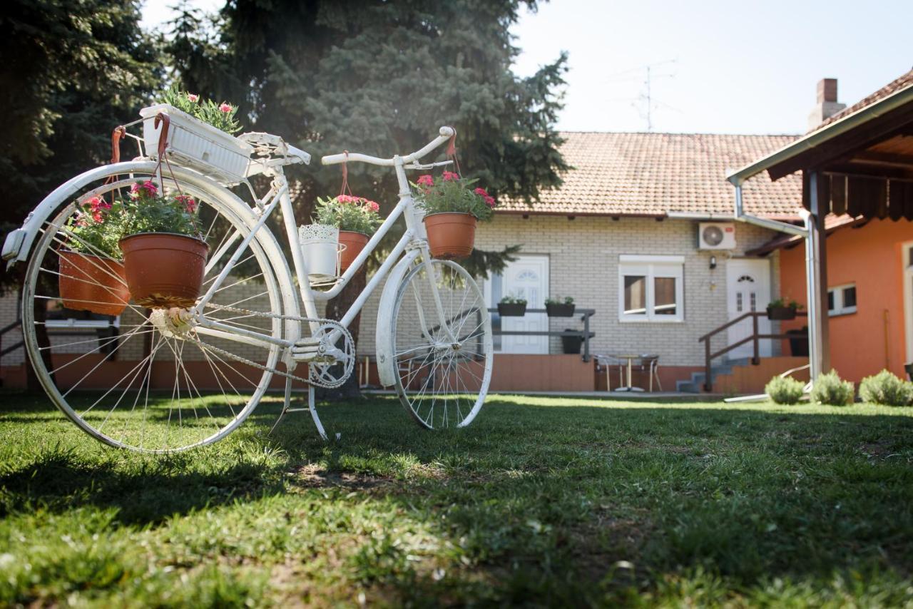 Dumalux Garden Daire Subotica Dış mekan fotoğraf