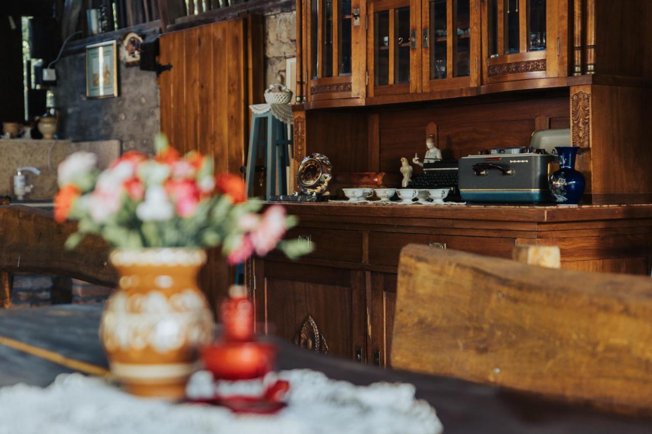 Dumalux Garden Daire Subotica Dış mekan fotoğraf